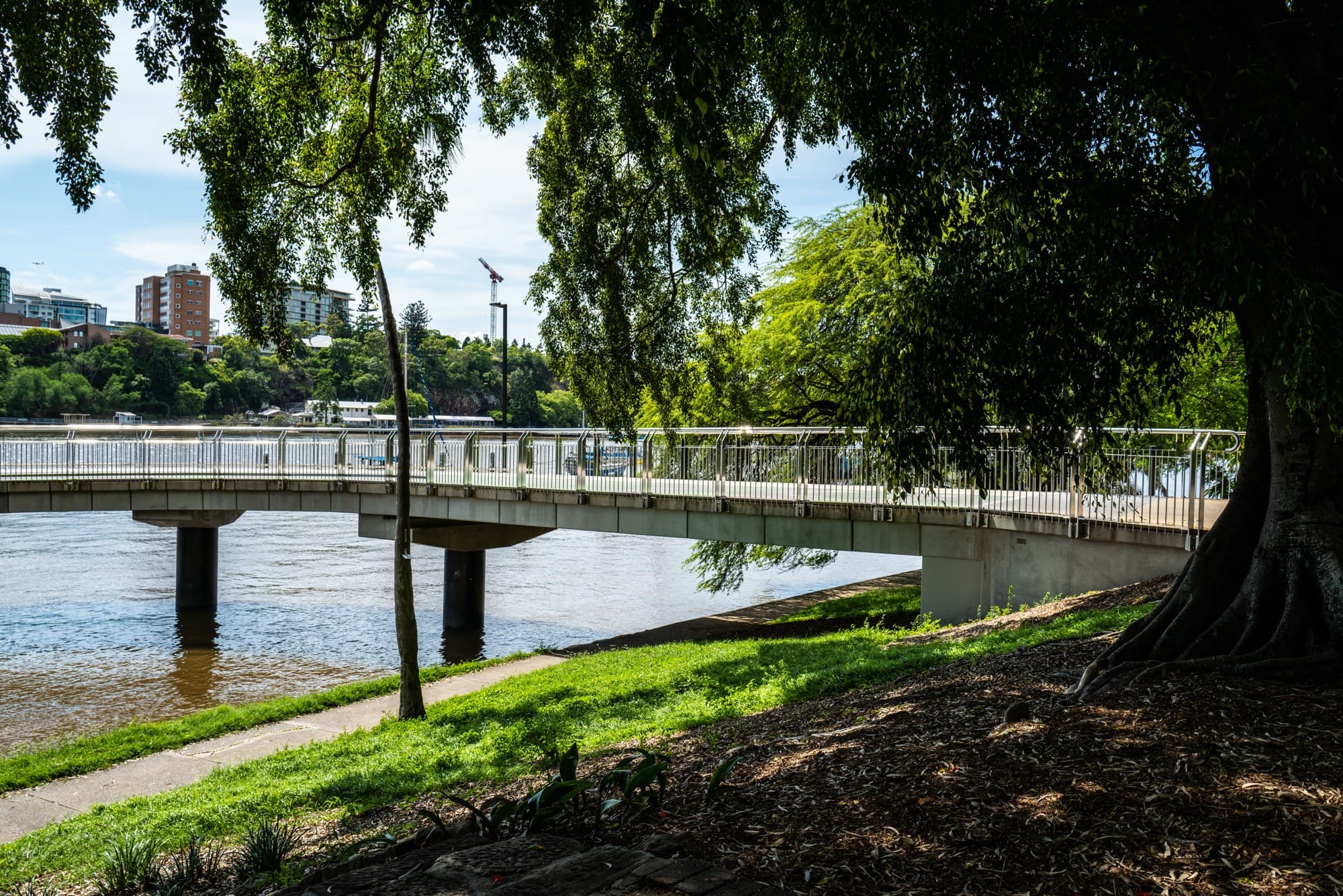 The Riverwalk footpath curving over the Brisbane River beside the City Botanic Gardens, framed by large shade trees, Dec. 20, 2021. Illustrative image of the riverside path network in central Brisbane, not of Kaley Koppa, her rescuers or the place she collapsed. Photo: John Robert McPherson, CC BY-SA 4.0, via Wikimedia Commons. Source page: https://commons.wikimedia.org/wiki/File:City_Botanic_Gardens_Riverwalk_City_Botanic_Gardens_Brisbane_L1000252.jpg