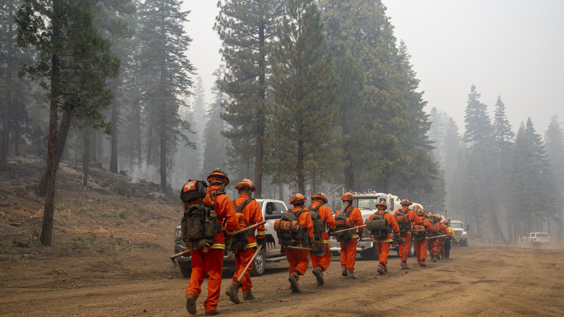 Incarcerated firefighters with CAL FIRE, in orange gear and carrying hand tools, march in single file toward the fire line of the Dixie Fire in the Lassen National Forest, California, 11 September 2021. Photo: Cecilio Ricardo, USDA Forest Service, via Wikimedia Commons (public domain). Source page: https://commons.wikimedia.org/wiki/File:BlueRidgeHotShots-Lassen-Sept2021-114_(51540614220).jpg