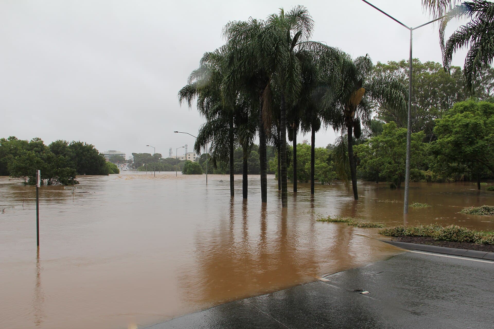 Brown floodwater from the Caboolture River covering a road and a stand of palm trees at the southern end of the Morayfield Road crossing, Jan. 11, 2011. Illustrative image of flooding in the area, not of the Oct. 22, 2026 rescue. Photo: Tobiaslw, CC BY-SA 3.0, via Wikimedia Commons. Source page: https://commons.wikimedia.org/wiki/File:Morayfield_Road_Caboolture_River_Bridge_Flood_Jan_2011.JPG