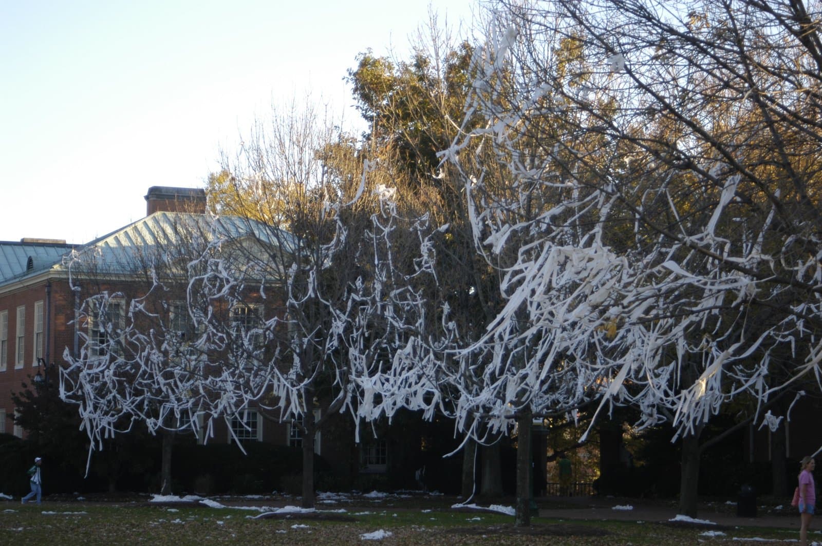 Bare autumn trees on a campus lawn draped in long streamers of toilet paper, with a brick building behind them, Oct. 29, 2006. Illustrative image taken at Wake Forest University in North Carolina after a basketball victory; it does not show the Tanenbaums' home or anyone in this story. Photo: Fennec, CC BY 2.5, via Wikimedia Commons. Source page: https://commons.wikimedia.org/wiki/File:Toilet-paper-trees.jpg