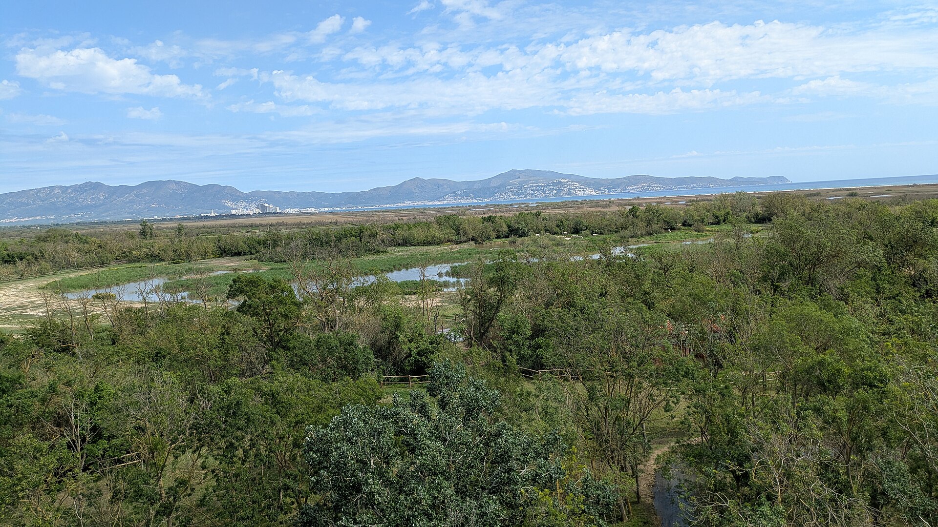 Green wetland vegetation stretching toward the Gulf of Roses and distant hills.