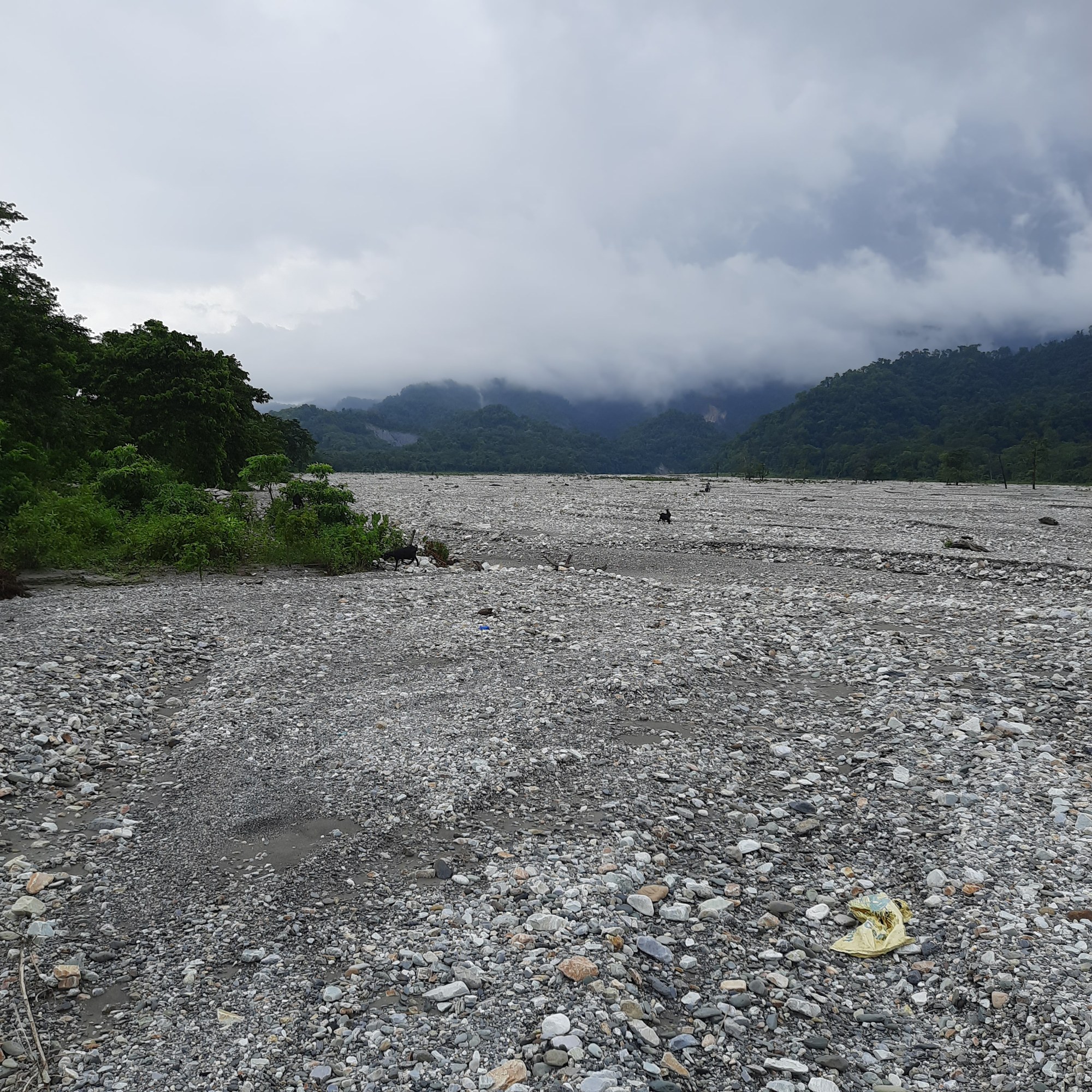 A wide, stony riverbed with a shallow river running past forested hills.
