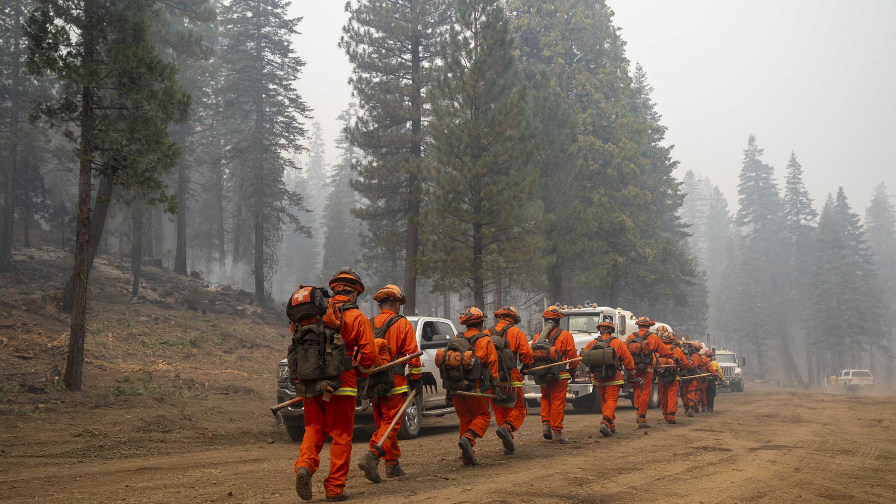 A line of firefighters in orange shirts and pants, wearing helmets and packs and carrying hand tools, walks along a dirt road through smoky pine forest.