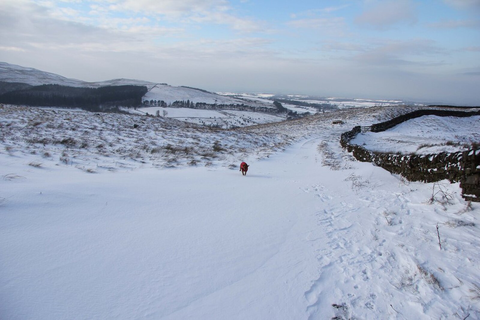 Open moorland landscape at Geltsdale, Cumbria.