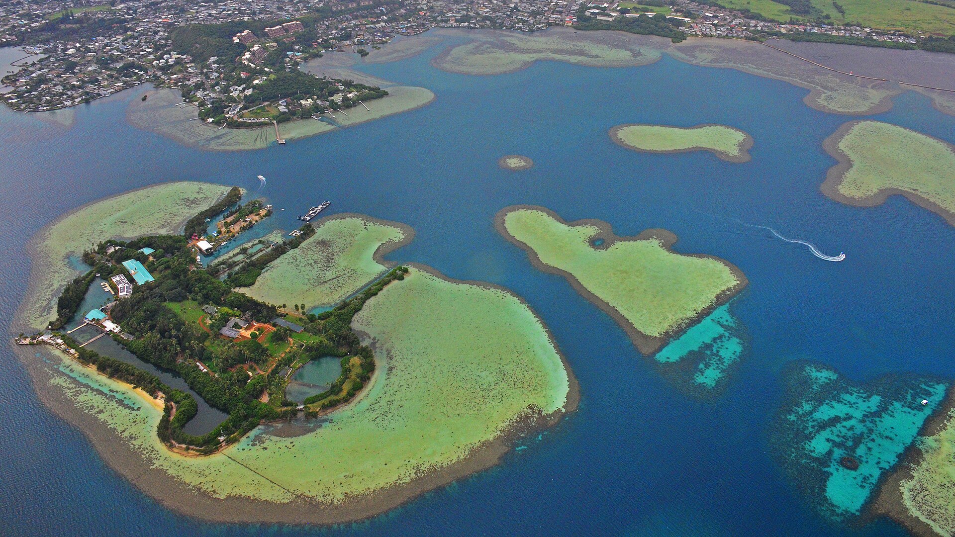 Moku o Loʻe, Coconut Island, in Kāneʻohe Bay.