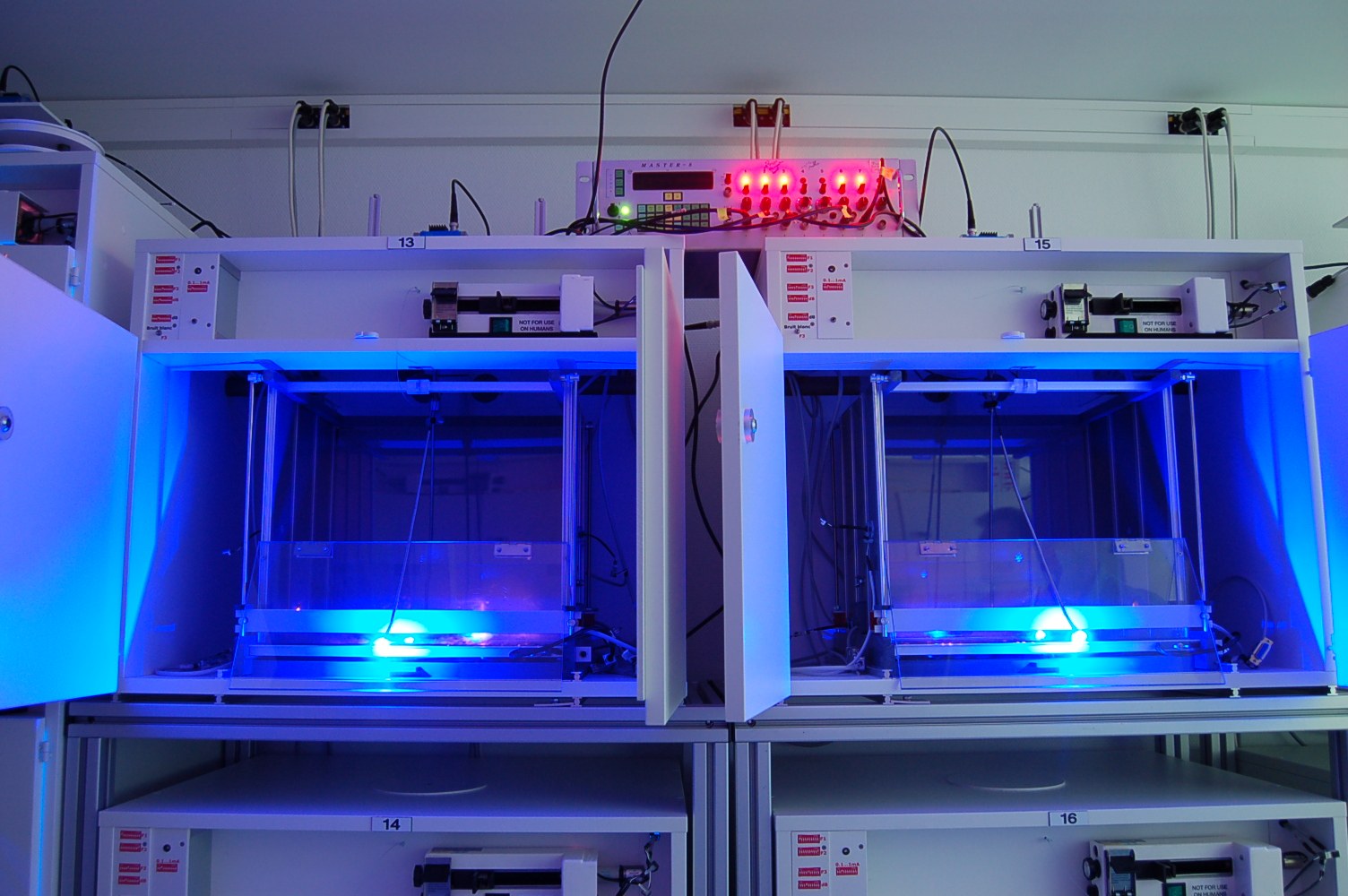 Laboratory behavior cages lit with blue light, with cables and electronic equipment mounted above them on shelving.