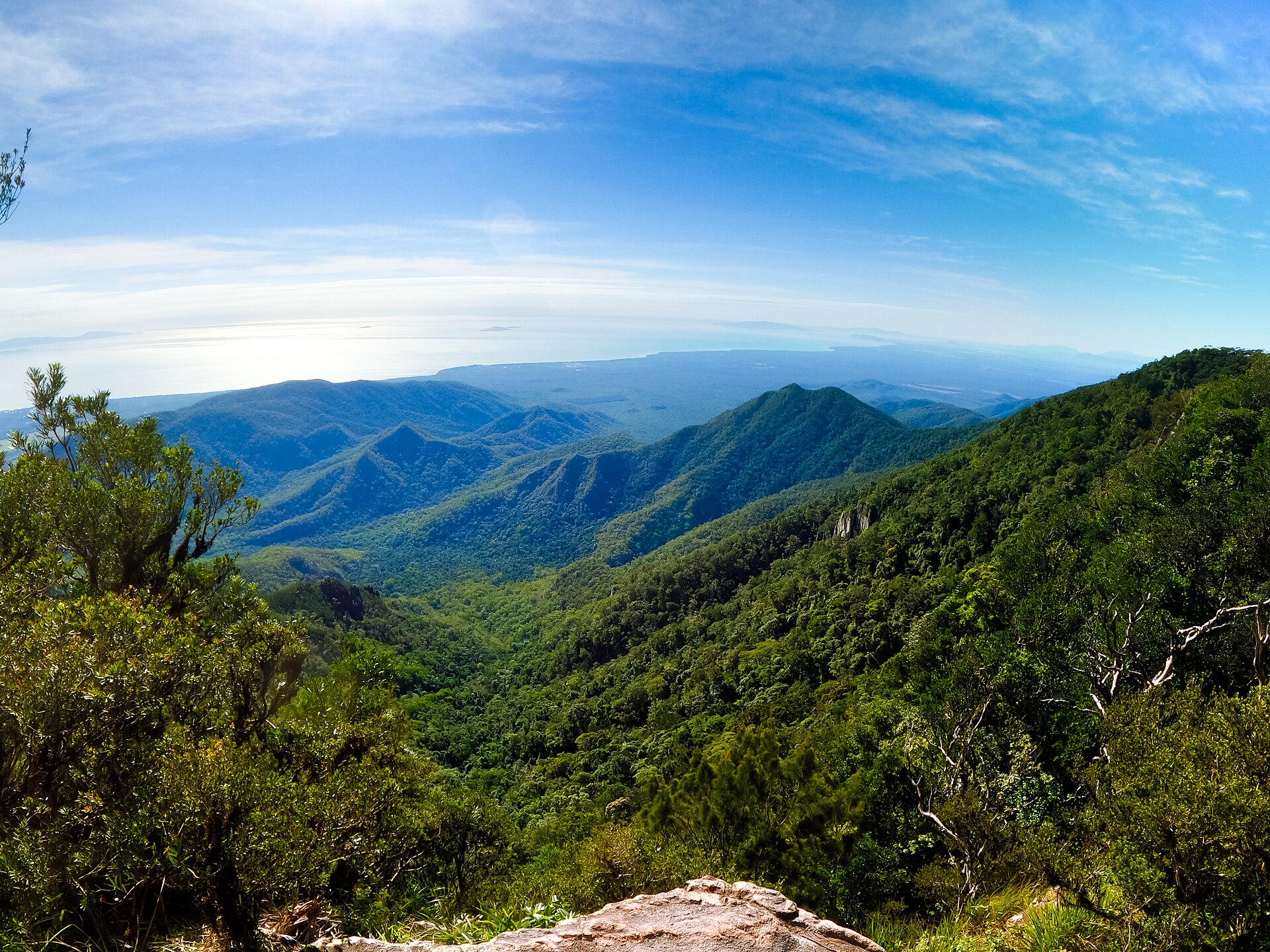 View over forested ridges from the summit of Mt Halifax in Paluma Range National Park.
