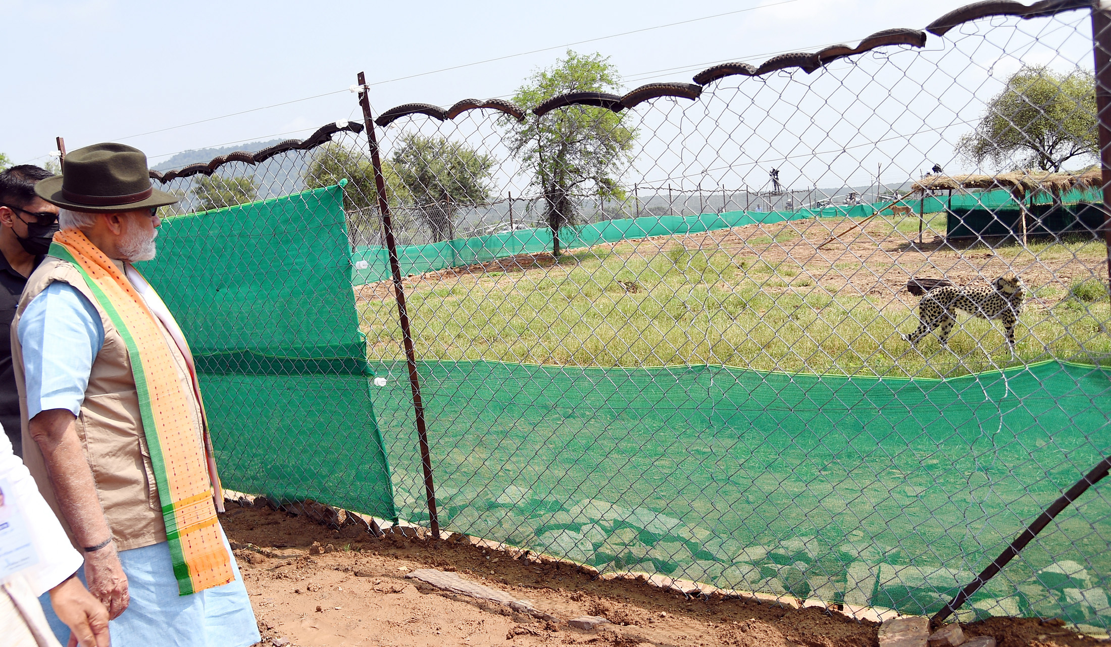 Prime Minister Narendra Modi at the Project Cheetah release at Kuno National Park on 17 September 2022.