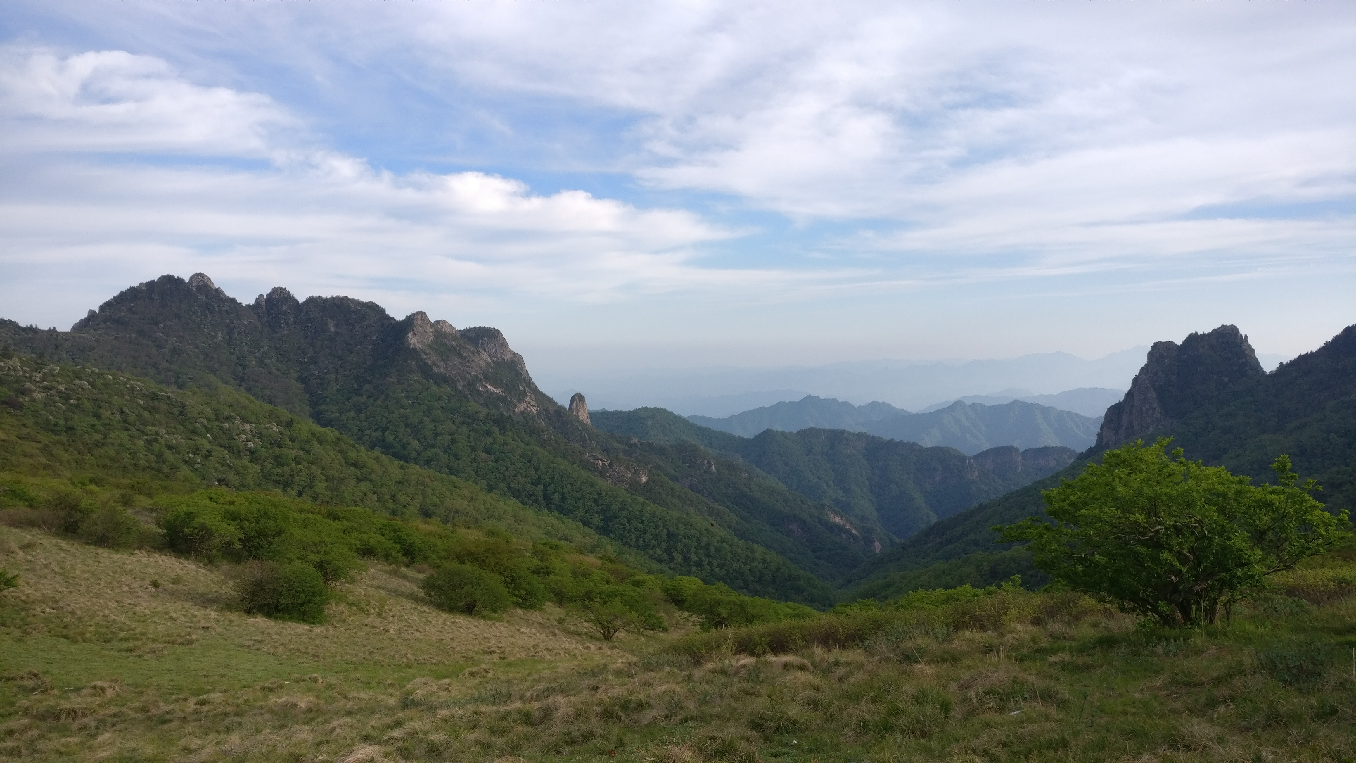 Forested ridges of the Qinling Mountains.