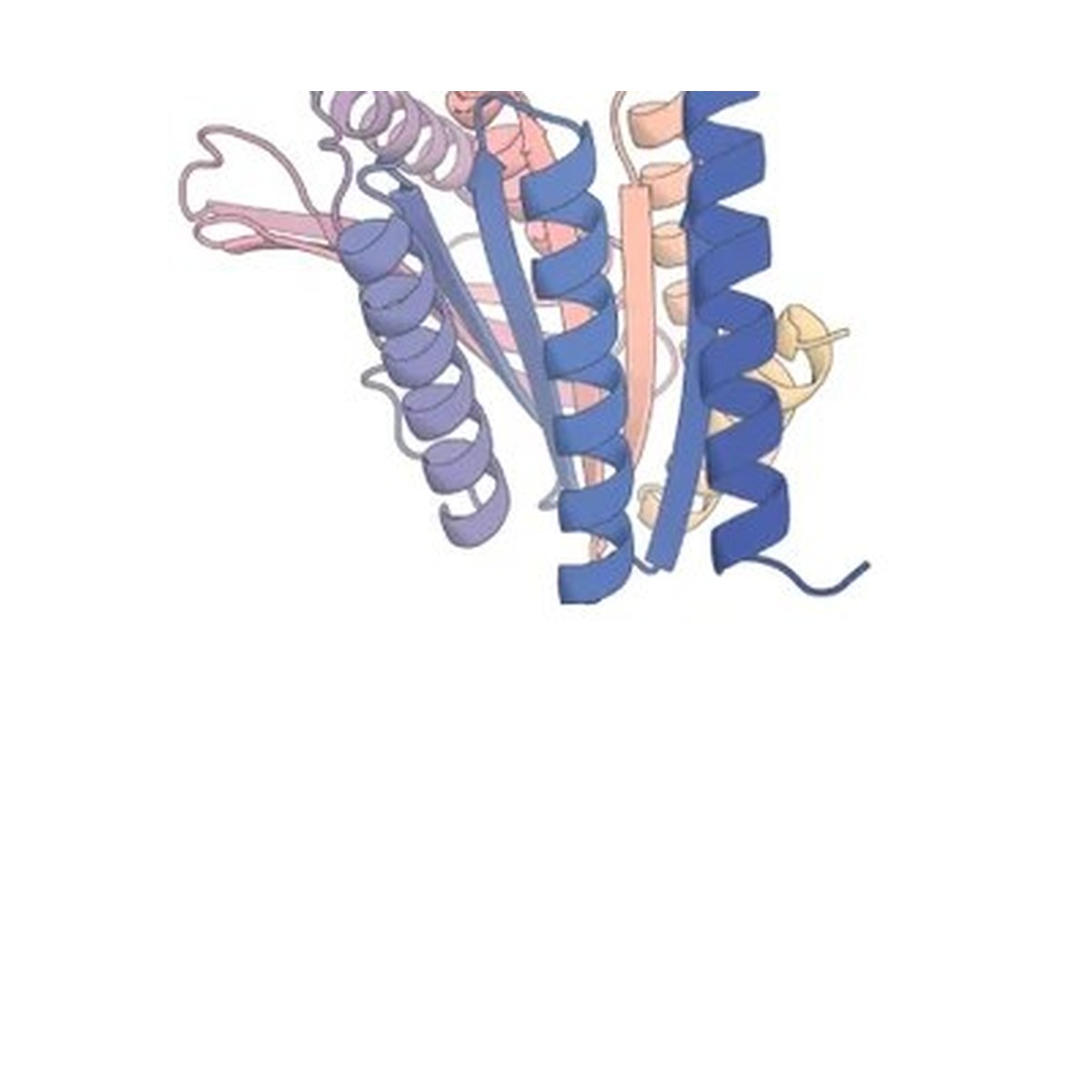 A ribbon rendering of a computer-generated protein, with spiraling helices in shades of blue, lavender, pink and peach.