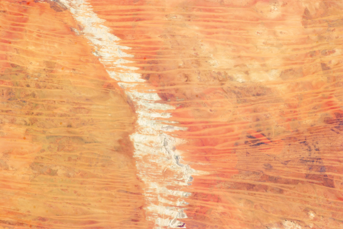 Astronaut view of linear dunes in the Great Sandy Desert.